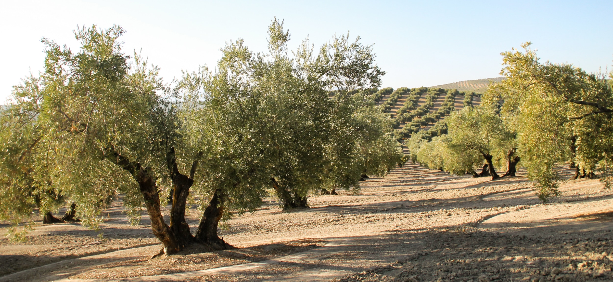 paisaje